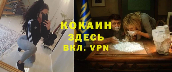 метадон Алексин